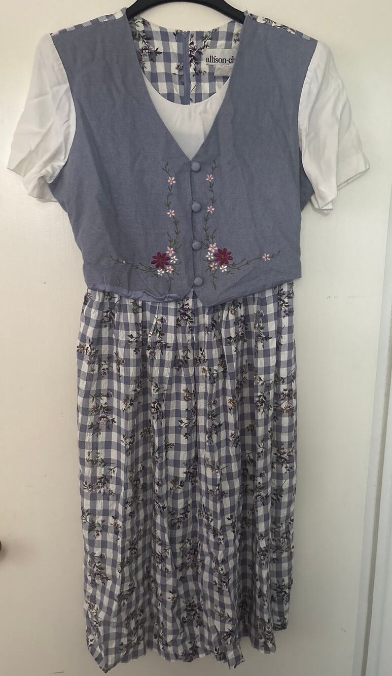 Vintage 90s Allison Che Blue Gingham Dirndl Dress 14P Embroidered Floral Design